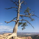 Nabożeństwo | Bez sił | Dawid Polok | 14.03.2026